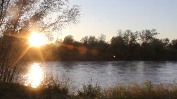 View of a river at sunset — Stock Video