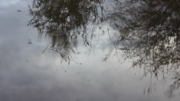 Gotas de lluvia en el agua — Vídeos de Stock