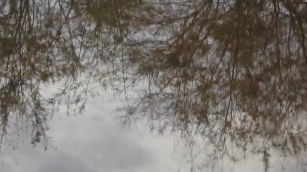 Gotas de chuva na água — Vídeo de Stock