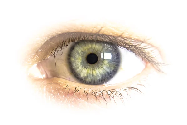 Human eye — Stock Photo, Image