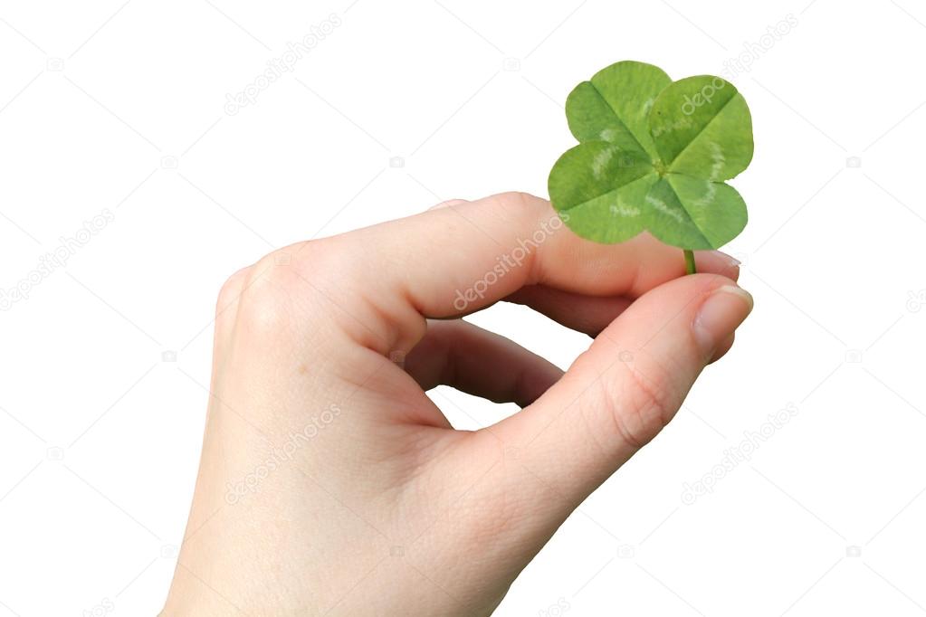 Hand with a four-leaf clover isolated