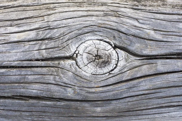 Textura vieja del tronco —  Fotos de Stock