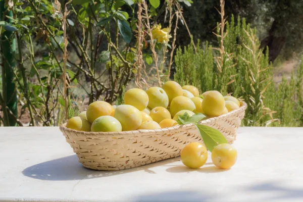 Basket of yellow plums — Stock Photo, Image