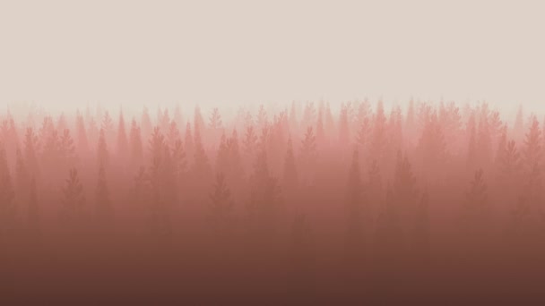 Animation Camera Looping Tracking Shot Reddish Forest Fog — Stock Video