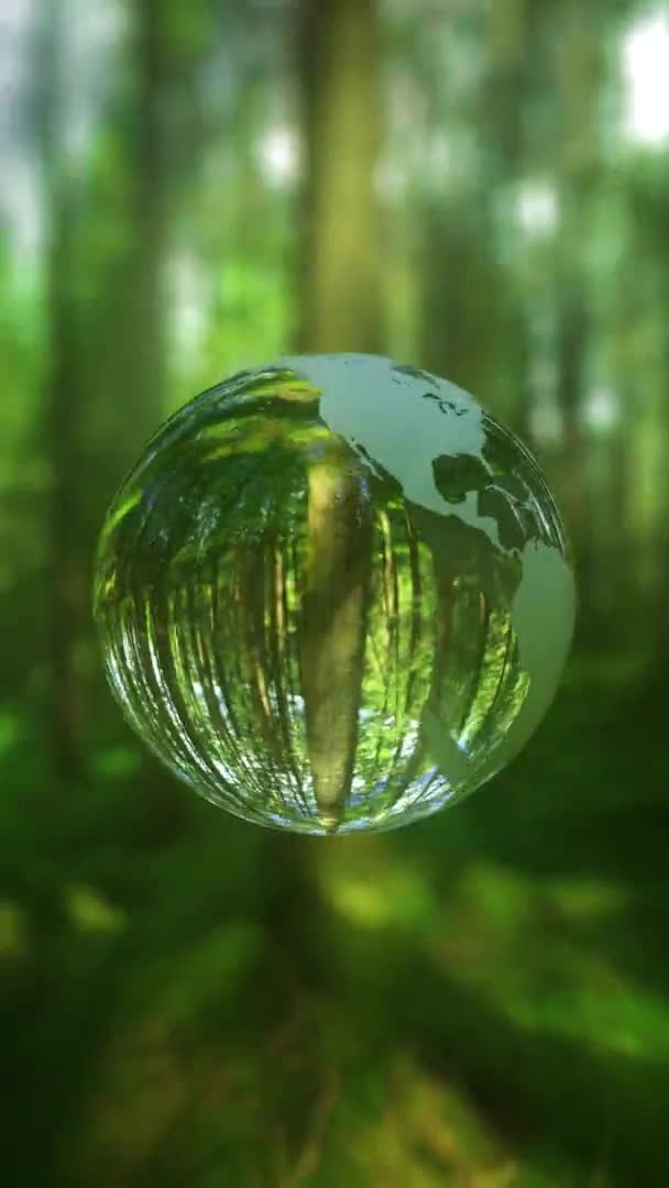 Animación Bola Cristal Giratoria Forma Lazo Planeta Tierra Bosque Verde — Vídeos de Stock