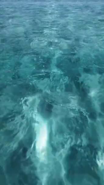 Animacja Błękitna Powierzchnia Wody Morskiej Niewielkimi Falami Składzie Pionowym — Wideo stockowe