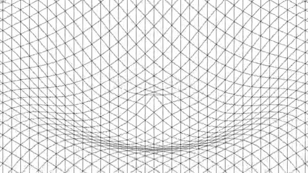 Animazione Maglia Nera Con Onde Concentriche Loop Sfondo Bianco — Video Stock