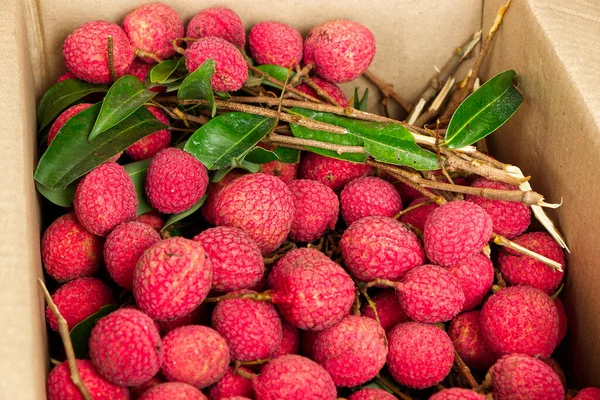 Fresh Lychee Packed Box Fruits Market — Fotografia de Stock