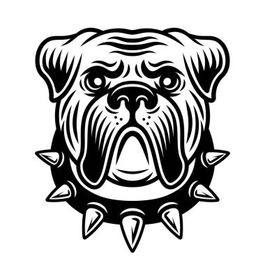 Çivili tasmalı Bulldog kafası. Beyaz arkaplanda izole edilmiş vintage monokrom biçimi ile vektör illüstrasyonu