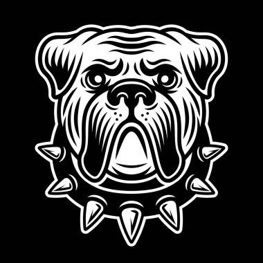 Çivili tasmalı Bulldog kafası. Koyu arkaplanda vintage biçiminde vektör illüstrasyonu