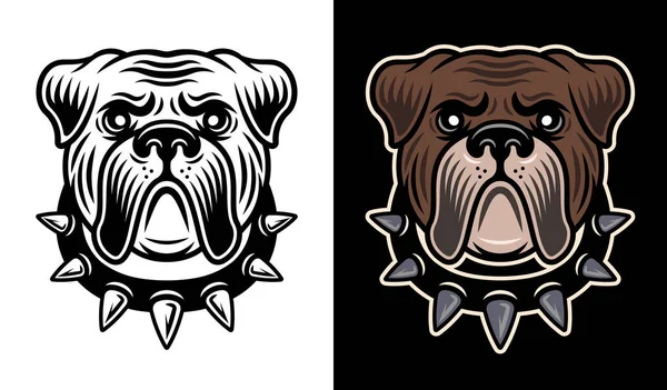 Bulldog head in spiked collar vector two styles illustration black on white and colored on dark background — Vetor de Stock