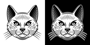 Kedi kafası vektörü iki biçim gösterimi beyaz üzerine siyah ve koyu arkaplan üzerine ışık