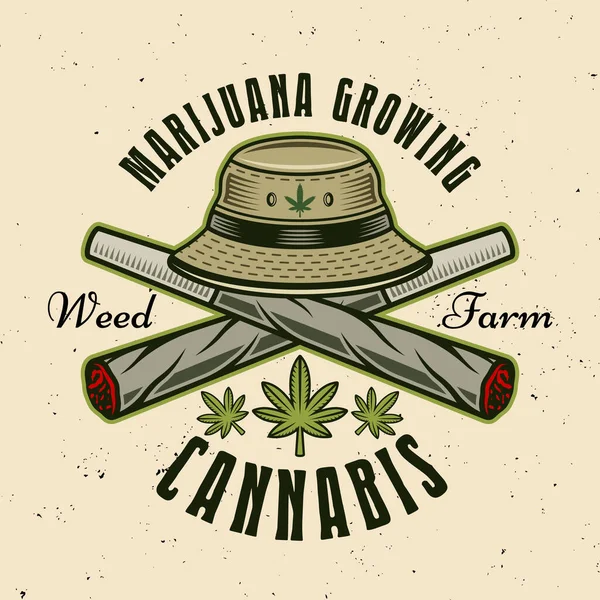 Two Crossed Weed Joints Bucket Hat Vector Emblem Badge Label — 스톡 벡터