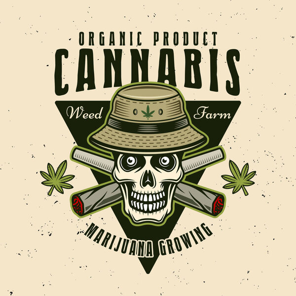 Marijuana growing farm vector emblem, badge, label or logo with skull in bucket hat and two crossed weed joints. Illustration in colorful style on light background