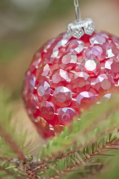 Red bauble in a christmas tree — Stock Photo, Image