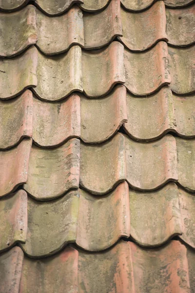 Keramiska plattor på taket — Stockfoto