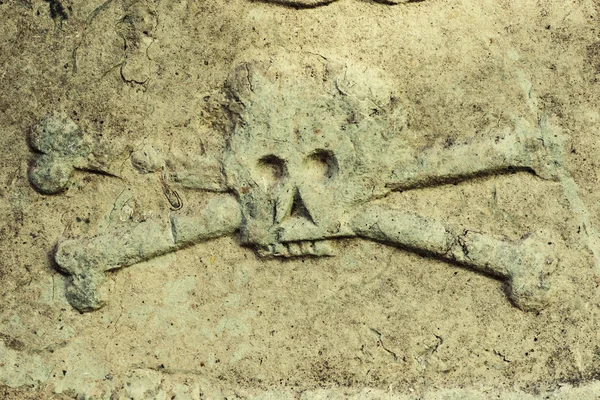 Closeup of skull on a gravestone — Stock Photo, Image