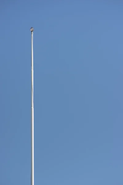 Poteau de drapeau sans drapeau et ciel bleu clair — Photo