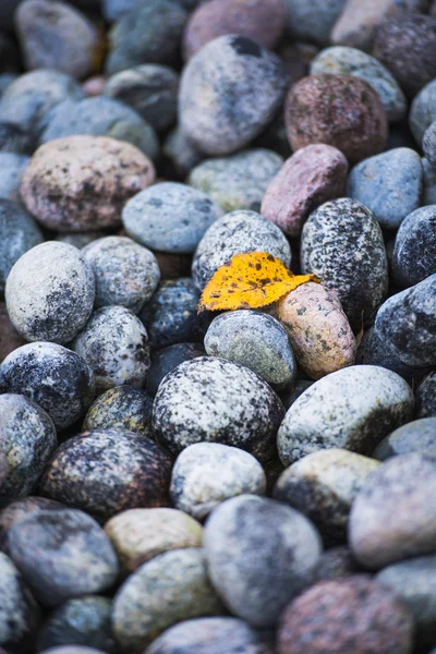 Wet stones and fall leaf — Stock Photo, Image