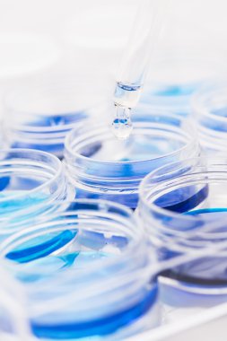 damlalıklı ve araştırma laboratuvarında sıvı olan konteynerler