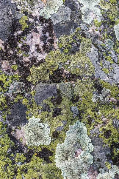 Detalhe da textura natural da rocha — Fotografia de Stock