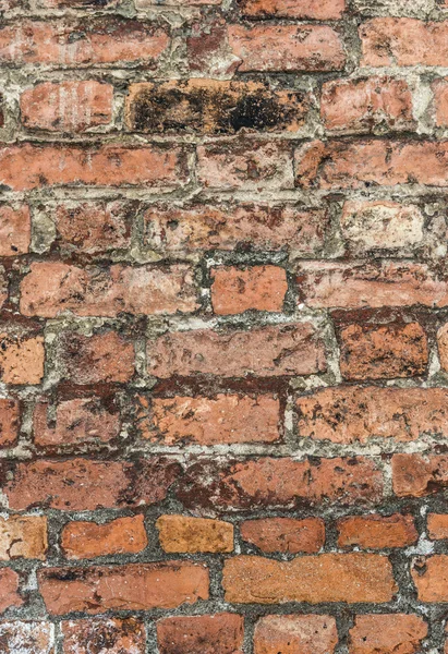 Fondo texturizado de pared de ladrillo —  Fotos de Stock