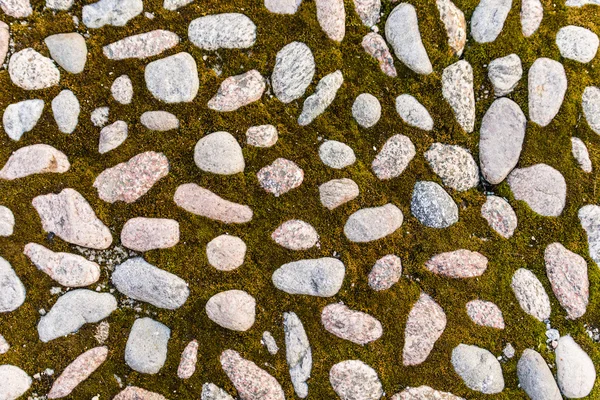 Textured background of stones on ground — Stock Photo, Image