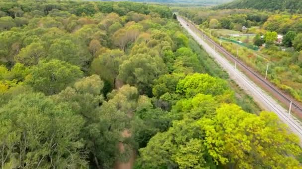 Samochód Jedzie Leśną Drogą Wśród Zielonych Drzew Widok Góry Podróż — Wideo stockowe