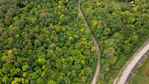 Coche Conduce Largo Camino Forestal Entre Árboles Verdes Vista Desde — Vídeos de Stock