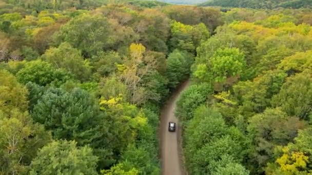 Auto Guida Lungo Una Strada Forestale Tra Alberi Verdi Vista — Video Stock