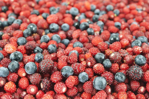 Delicious wild strawberries and blueberries, background — Stock Photo, Image