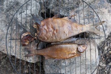 Two smoked fish on barbecue