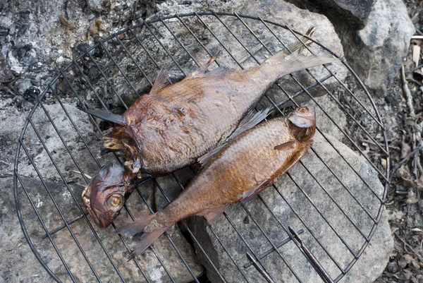 Two smoked fish on barbecue — Stok fotoğraf