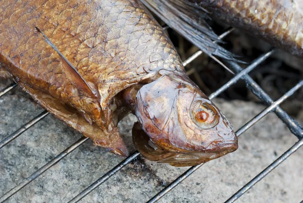 Smoked fish on barbecue — Stok fotoğraf