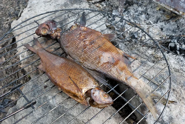 Två rökt fisk på grill — Stockfoto