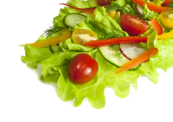 Fresh salad with radishes, cherry tomatoes and cucumbers — Stock Photo, Image