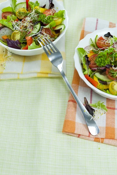 Two plates with salad on the table covered with a light green cl — Stock Photo, Image