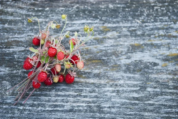 Ripe, juicy forest wild strawberry on a gray ancient wooden back — Stock Photo, Image