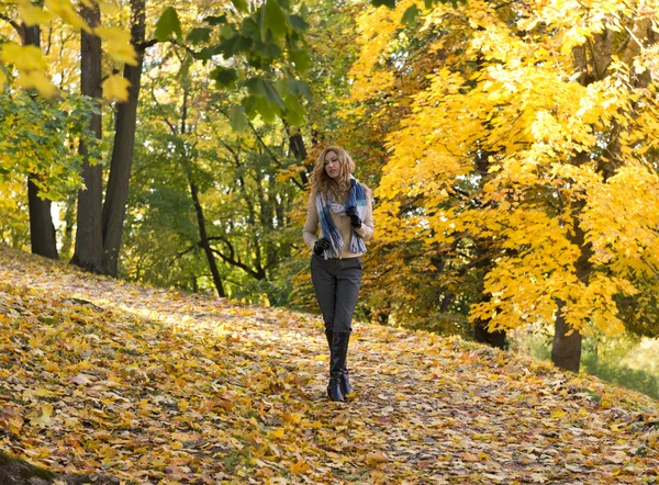Genç güzel sarışın kadın sonbahar parkta yürüyüş — Stok fotoğraf