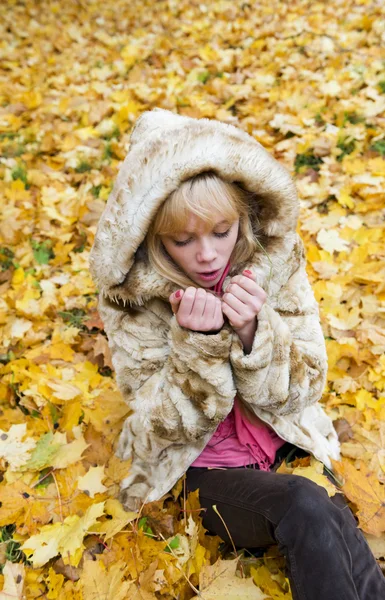 Krásná dívka zahřeje zmrzlé ruce v podzimním parku — Stock fotografie