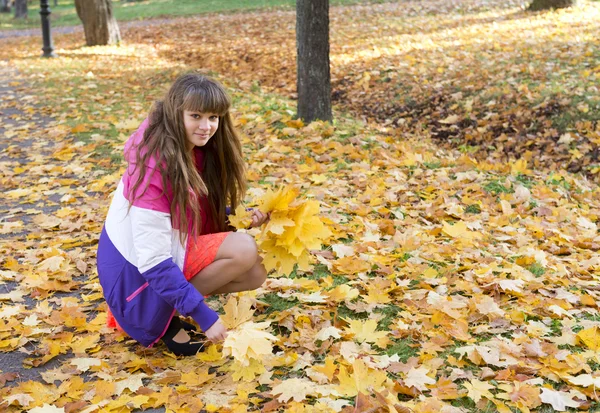 Koyu saçlı güzel kız parkta sonbahar yaprakları toplar — Stok fotoğraf