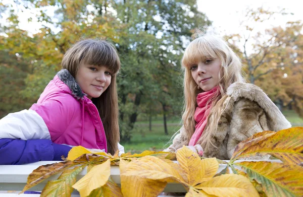 Twee mooie meisjes in herfst park — Stockfoto