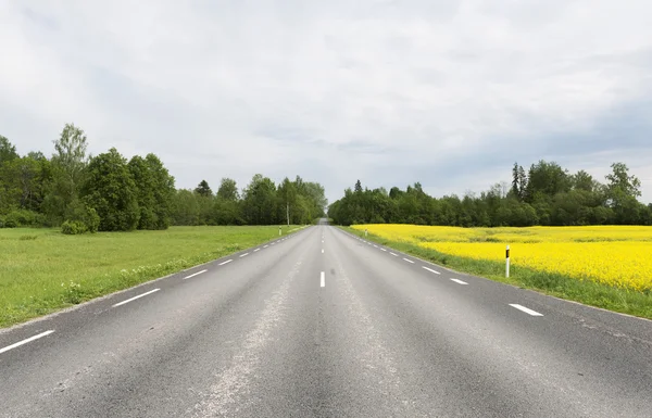 La route asphaltée à travers les champs de colza vert et jaune un — Photo