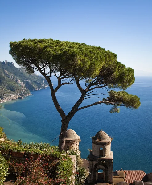 Einsamer Baum in ravelo, italien vertikal — Stockfoto