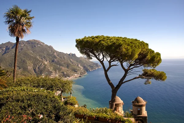 Árbol solitario en villa Rufalo, Italia Fotos de stock libres de derechos