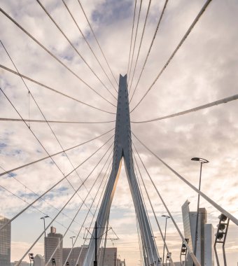 Hollanda 'nın Rotterdam kentindeki Erasmus köprüsünün detayları