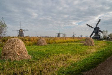 Eski yel değirmenleri ve saman yığınları, Hollanda Kinderdijk