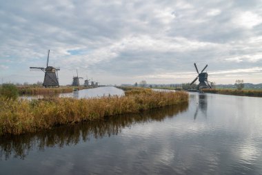 Hollanda, Kinderdijk 'te nehir kıyısındaki yel değirmenleri
