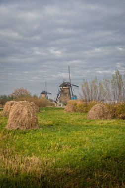 Eski yel değirmenleri ve saman yığınları, Hollanda Kinderdijk