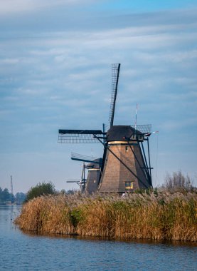 Hollanda Kinderdijk 'te kanalın kenarında antik yel değirmenleri